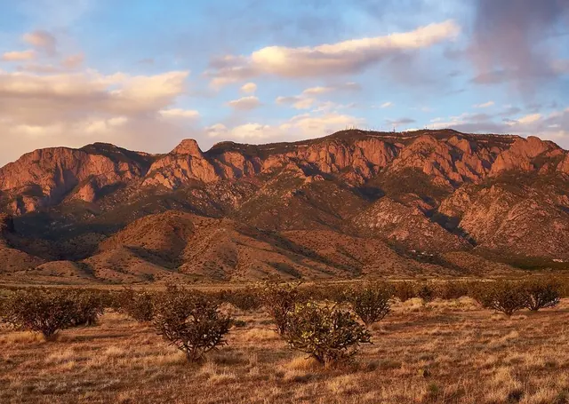 New Mexico