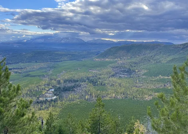 Montana